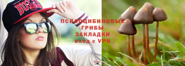 jwh Верея