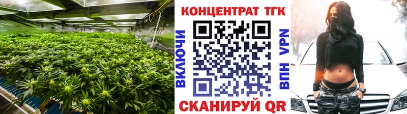 где найти наркотики  Тамбов  это как зайти  ТГК гашишное масло 