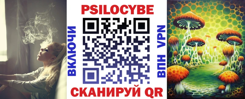 кракен вход  Тамбов  Псилоцибиновые грибы ЛСД 