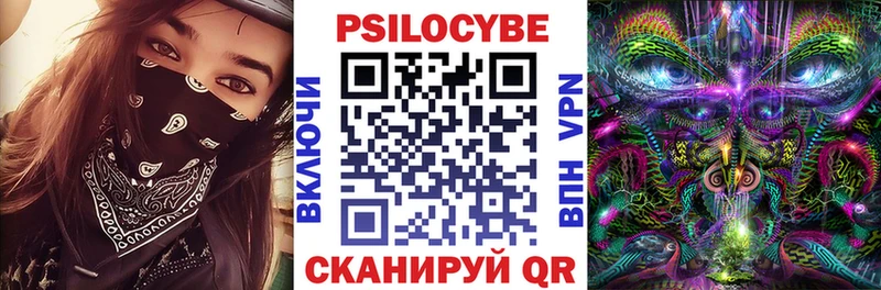 Псилоцибиновые грибы Cubensis Тамбов